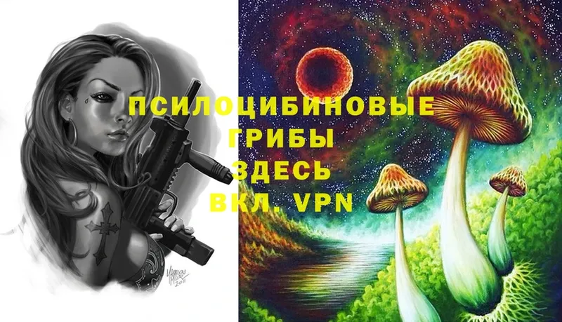 где продают   kraken вход  Галлюциногенные грибы MAGIC MUSHROOMS  Верхнеуральск 